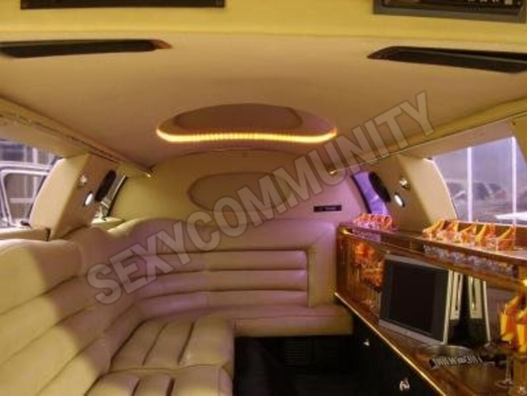 limousine744568342